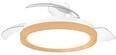 Philips Bliss Deckenventilator Mit 1 Lichtpunkt (wei&szlig;/gold) Warm Bis Kaltwei&szlig;es