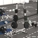 Hantelscheibe 20 Kg Gusseisen Vidaxl