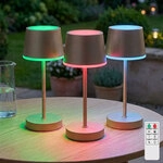 3x Rgbw Led Tischlampen Touchdimmer Champagner Feuer-effekt Fernbedienung Ip54