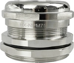 Tru Components Tc-10302864 Kabelverschraubung M75 Messing (vernickelt) Metall 1 St.