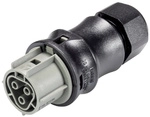 Wieland Electric 96.031.4154.3 Steckverbinder