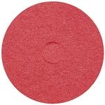 Cleancraft Unterhalts-pad Rot 13"/33,02 Cm 5 Stk