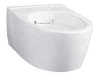 Wand-Tiefspül-WC iCon Rimfree verk. Ausldg geschl. Form weiß