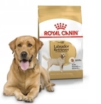 Royal Canin - Essen Labrador Retriever Erwachsener Erwachsener Und Maduro Dog (ab 15