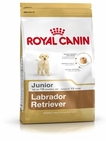 Royal Canin - Essen Labrador Retriever Welpen (junior) Welpen (bis Zu 15 Monate) - 12