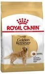 Royal Canin - Essen Golden Retriever Erwachsener Und Reife Hunde (ab 15 Monaten) - 12