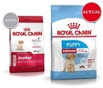 Royal Canin - Essen Medium Puppy (junior) Fщr Mittelgro&curren;e Hunde (bis Zu 1 Jahr) -