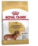 Royal Canin - Essen Dachshund Erwachsene Hunde Von Erwachsenen Und Maduro Teckel Race
