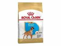 Essen Royal Canin Boxer Welpen (Junior) Welpen (bis zu 15 Monate) - 12 kg