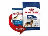 Essen Royal Canin Maxi Erwachsene gro¤e Tamble -Hunde (von 15 Monaten bis 5 Jahren)