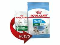 Essen Royal Canin Mini Starter fЩr MЩtter und kleine Rassenwelpen - 1 kg