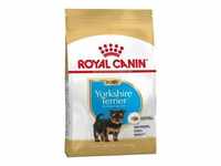 Essen Royal Canin Yorkshire Terrier Puppy (Junior) fЩr Welpen (bis zu 10 Monate) -