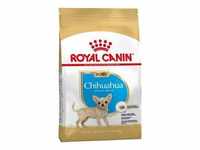 Essen Royal Canin Chihuahua Welpe (Junior) Chihuahua Welpen (bis zu 8 Monate) - 500g