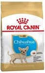 Royal Canin - Essen Chihuahua Welpe (junior) Chihuahua Welpen (bis Zu 8 Monate) -