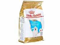 Bhn Golden Retriever Puppy – Trockenfutter für Welpen – 3 kg - Royal Canin