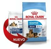 Essen, Royal Canin Maxi Starter Large Tama Cubs (bis Zu 2 Monate) Und Schwangere