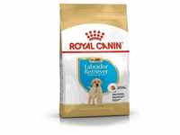 Royal Canin - bhn Labrador Retriever Puppy – Trockenfutter für Welpen – 3 kg