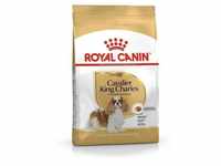 Royal Canin - shn Breed Cavalier kc Hundefutter 1,5 kg