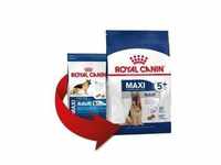Essen Royal Canin Maxi Erwachsener 5+ gro¤er Hunde (ab 5 Jahren) - 4 kg