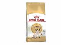 Essen Royal Canin Siamese fЩr erwachsene siamesische Katzen - 10 kg