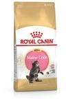 Royal Canin - Essen Kitten Maine Coon Fщr Ktzchen - 4 Kg