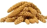 1 Kg Lyra Pet Kolbenhirse Gelb