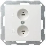 Gira Einsatz Ls 2-fach Reinwei&szlig; Gl&auml;nzend System 55 040203 Krallen/schraubbef