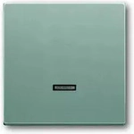 Busch-jaeger 6543-83-101 Bedienelement Mit Glimmlampe