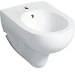 Renova Wandbidet Tiefe 55cm, &Uuml;berlauf Sichtbar, Wei&szlig;/keratect - Geberit