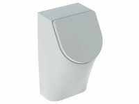 Geberit Renova Plan Urinal mit Deckel, Zulauf von hinten, Abgang nach hinten, Farbe: