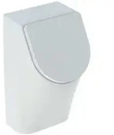 Renova Plan Urinal Mit Deckel, Zulauf Von Hinten, Abgang - Geberit