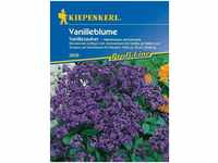 Heliotropium Vanilleblume Vanillezauber - Blumensamen - Kiepenkerl