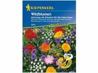 Wildblumen Mischung - Blumensamen - Kiepenkerl