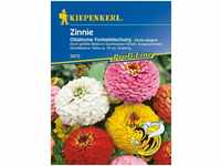 Zinnie Oklahoma Formelmischung - Blumensamen - Kiepenkerl