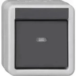 Gira Taster-ba 1f Kontrollf. + 1-punkt Knx Wg Ap Grau 515130