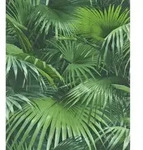 Vliestapete 524901 Crispy Paper Floral Gr&uuml;n 10,05 X 0,53 M Tapeten - Rasch