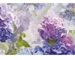 Komar - Fototapete Otaksa 368 X 254cm Hortensie Papiertapete Blumentapete