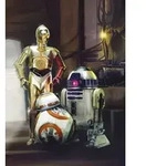 Fototapete Star Wars Three Droids 254 X 184 Cm Fototapete - Komar