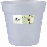 Green Basic Orchidee Transparent 15 Cm