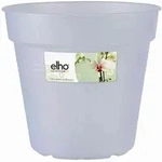 Green Basic Orchidee Transparent 17 Cm