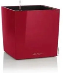 Lechuza Cube Premium 40 Komplettset Scarlet Rot Hochglanz