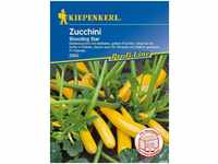 Zucchini Shooting Star - Gemüsesamen - Kiepenkerl