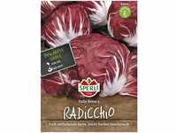 Sperli - Radicchio Palla Rossa 3 - Gemüsesamen