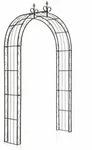 Clp - Rosenbogen Sun Bronze