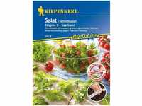 Kiepenkerl - Salat Crispita ii - Saatband - Gemüsesamen