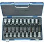 Schraubendreher-satz 1/2' 18tlg Torx T20-60, Itx 19 Lkp, 6138510 - Gedore