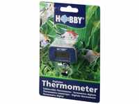 Digitales Thermometer - Hobby