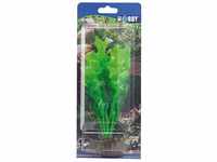 Echinodrus, 20 cm - künstliche Aquariumpflanze - Hobby