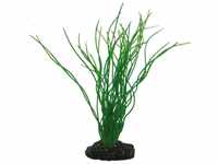Hobby - Sagittaria, 20 cm - künstliche Aquarienpflanze