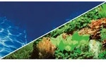Fotor&uuml;ckwand Pflanzen 8 / Marin Blue, 120 X 50 Cm - Hobby
